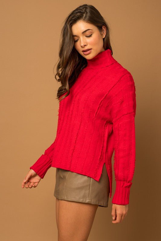 Textured Turtle Neck Sweater