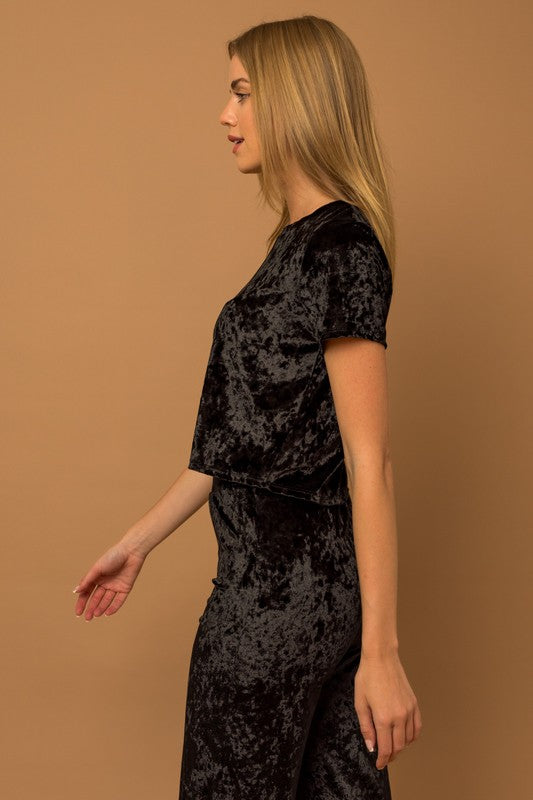 Short Sleeve Velvet Top