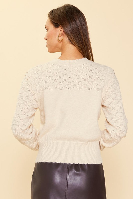 LONG SLEEVE POINTELLE SWEATER
