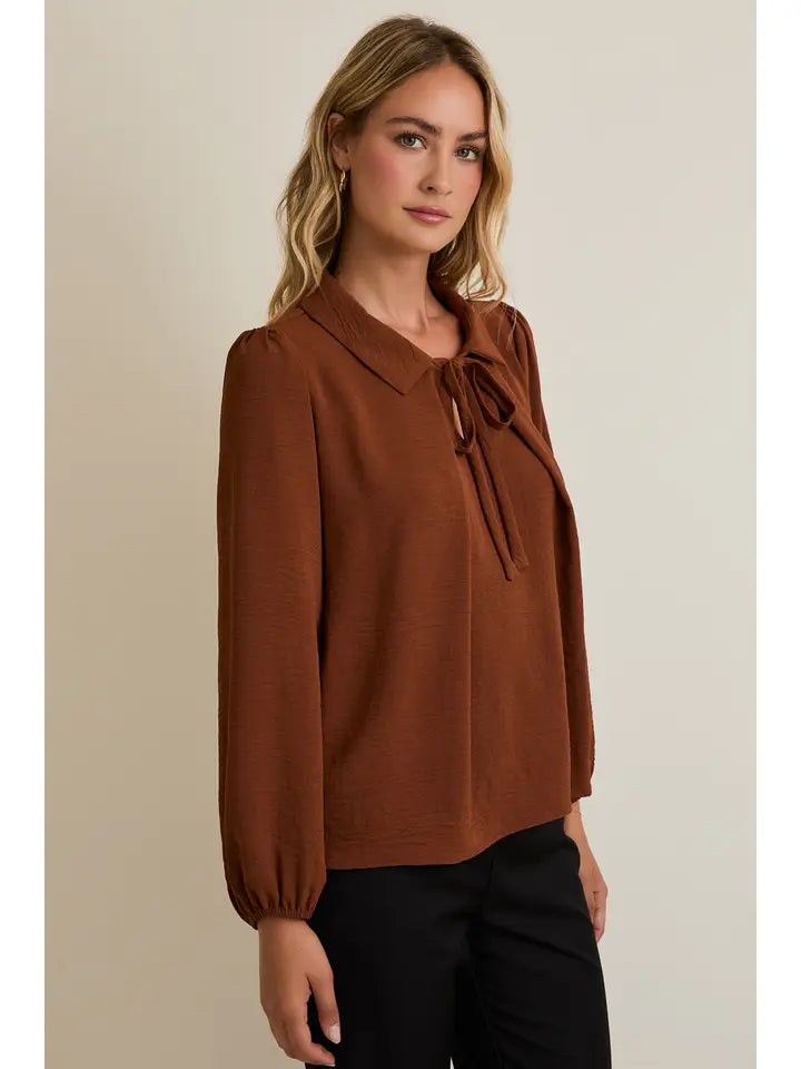 Collar Front Tie Pleated Detail Long Sleeve Top