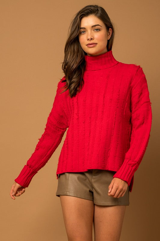 Textured Turtle Neck Sweater