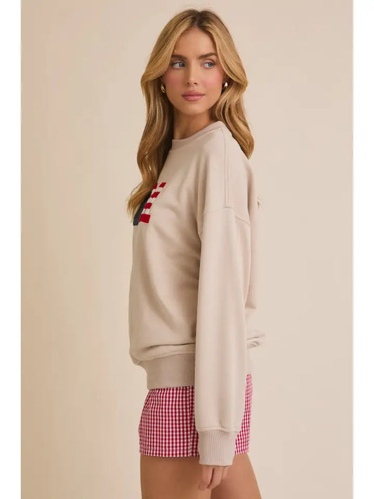 Crew Neck "USA" Novelty Sweatshirt