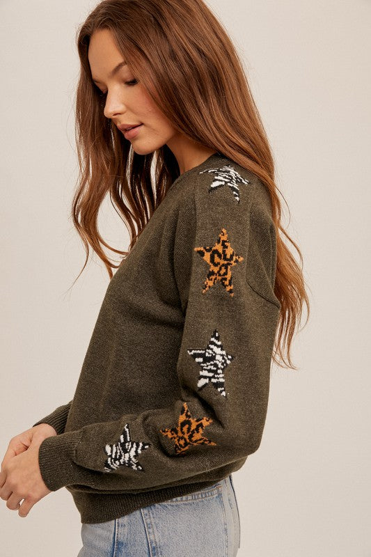 Animal Print Stars Sleeve Sweater