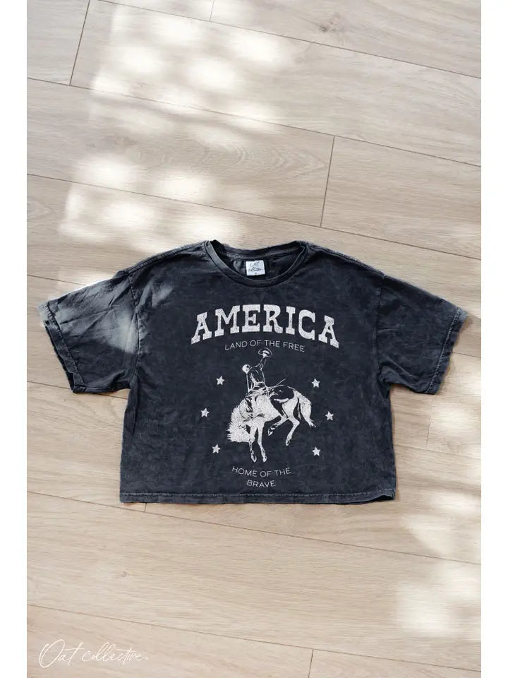 America Cropped Mineral Washed Graphic Top