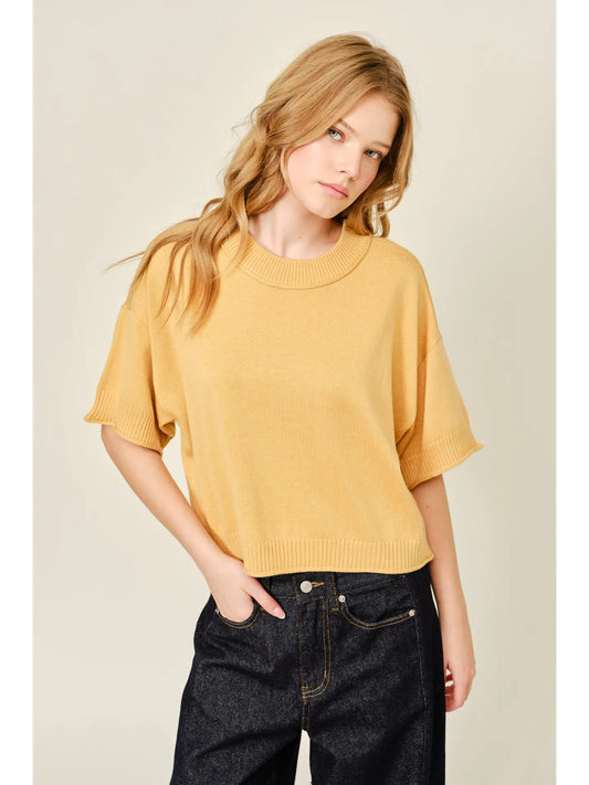 Soft Wool Mix Round Neck Solid Sweater Top