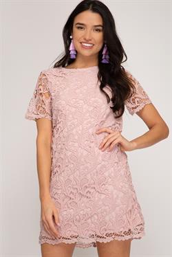 Short Sleeve Crochet Lace Shift Dress!