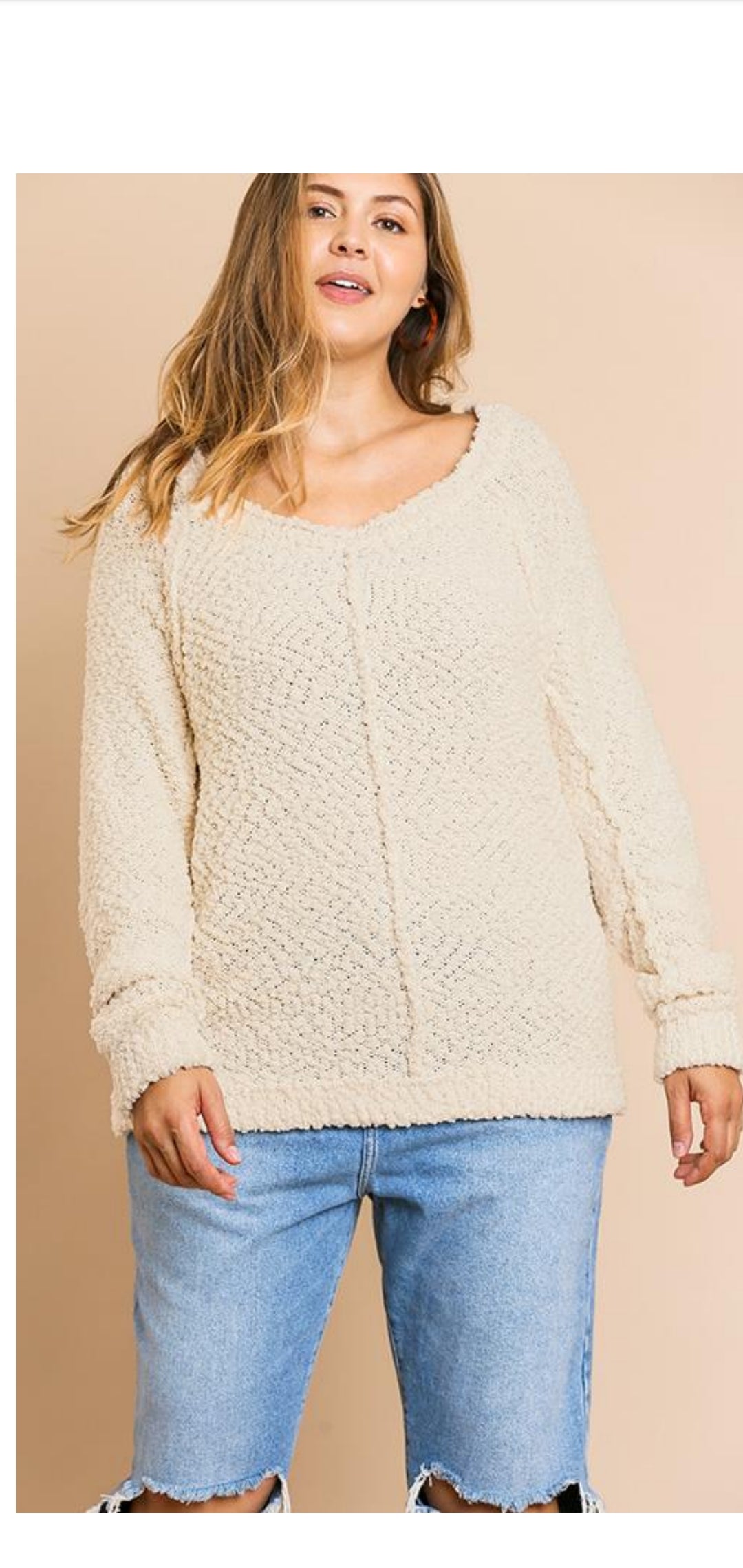 Curvy Style Long Sleeve Sweater!