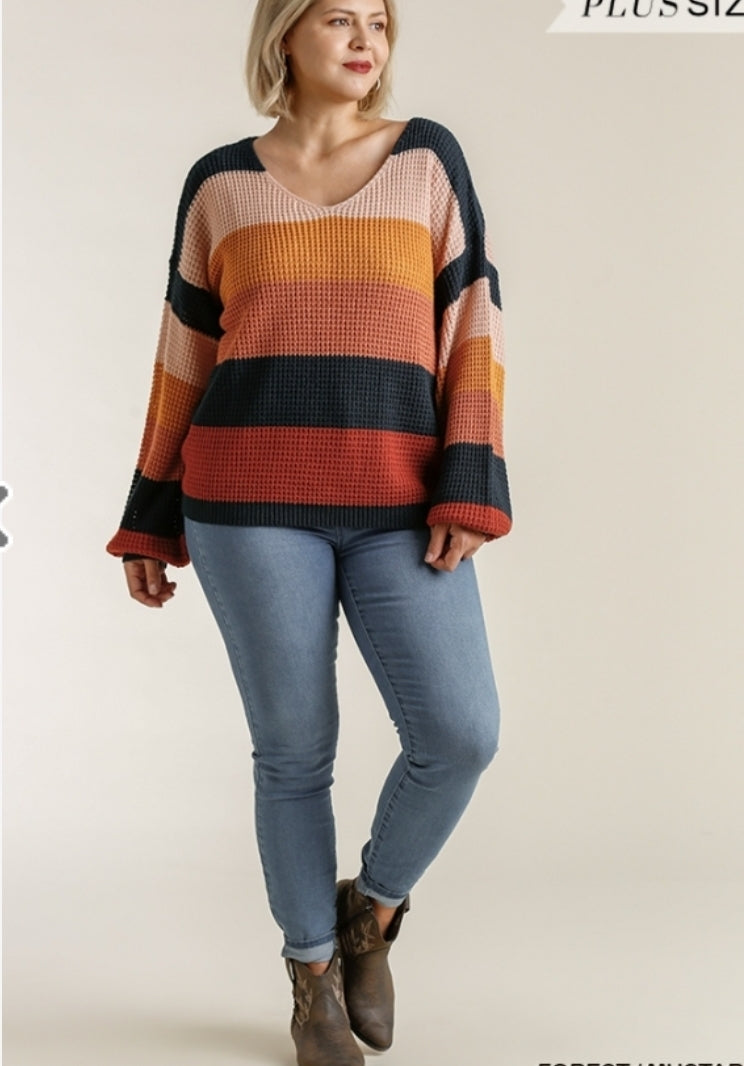 Curvy Lightweight Colorblock Sweater!